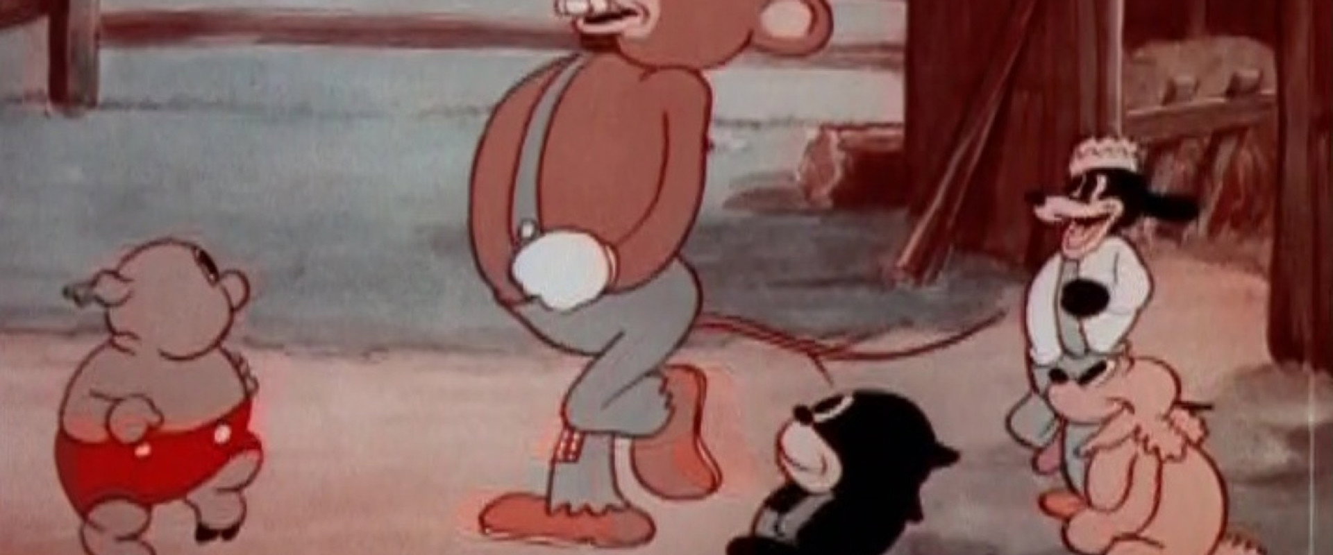 Country Mouse