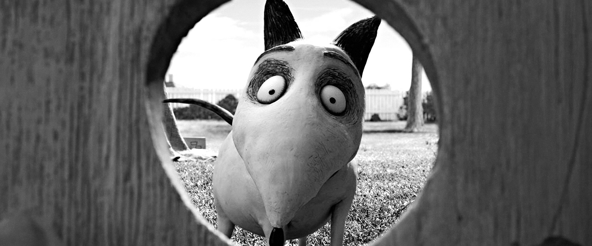 Frankenweenie