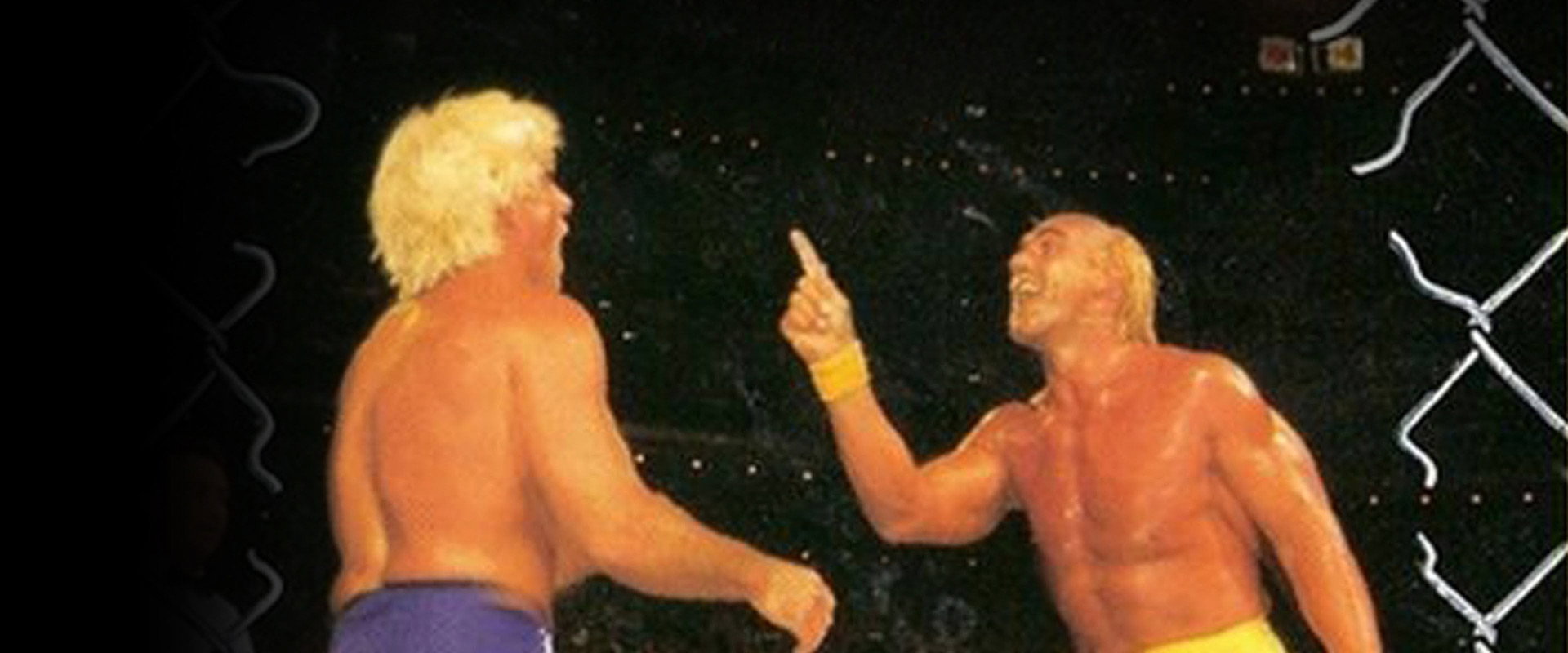 WCW Halloween Havoc 1994's banner image