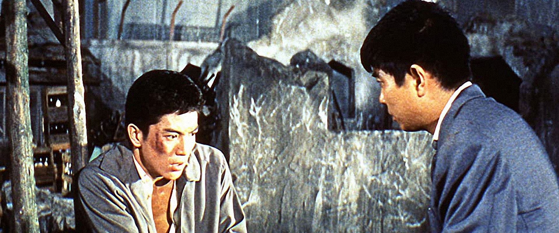 The Wild Reporter's banner image