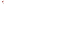 Logo 8