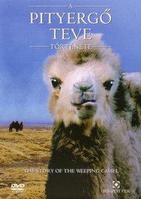 Poster 15