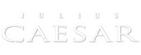Logo 1