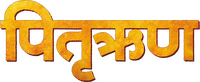 Logo 0