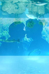 Poster for Reality Fragment 160921