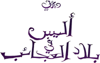 Logo 30