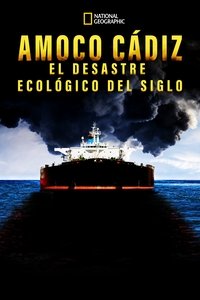 Poster 4
