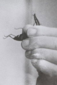 Poster for 友達に逢う列車