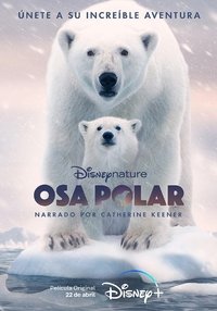 Poster 13