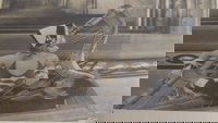 Backdrop 4