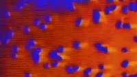 Backdrop 0