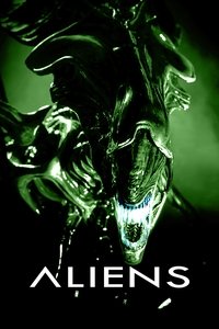 Poster 162