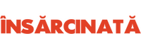 Logo 6
