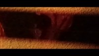Backdrop 0
