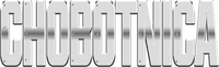 Logo 11