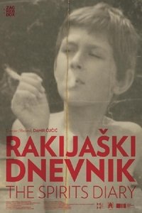 Poster for The Spirits Diary