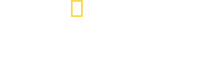 Logo 11