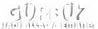 Logo 0