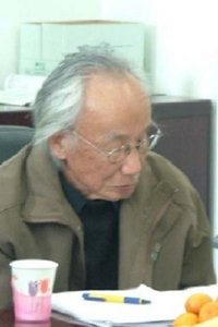 Profile of Shi Pingyi