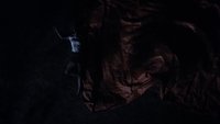 Backdrop 4