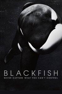 Poster 5