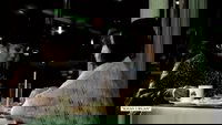 Backdrop 13