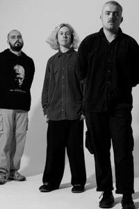 Profile of shrinkwrap