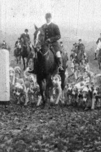 Poster for Fox Hunt