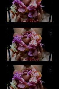 Poster for a tangled web drowning in honey