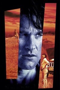 Poster 35