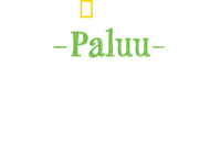 Logo 5