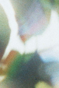 Poster for ipsa (I watched the Moon around the House)