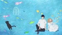 Backdrop 3