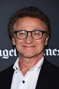 Profile of Norman Aladjem