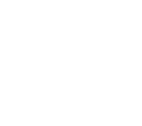 Logo 55