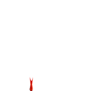 Logo 37