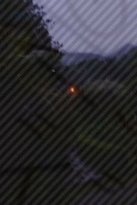 Me, You and Some Flowers