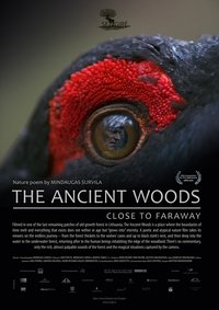 Poster 5