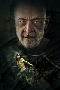 Poster 13