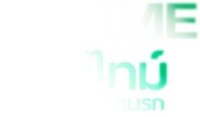Logo 13