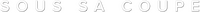 Logo 0