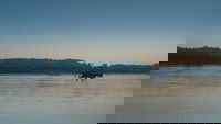 Backdrop 10