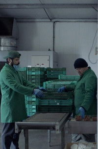 Poster for Soft Fruit