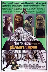Poster 46