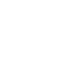 Logo 20