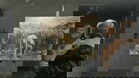 Backdrop 21