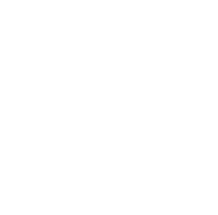 Logo 12