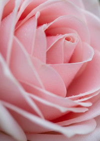 Poster for La Mia Mamma