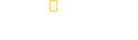 Logo 6