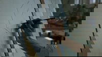 Backdrop 76